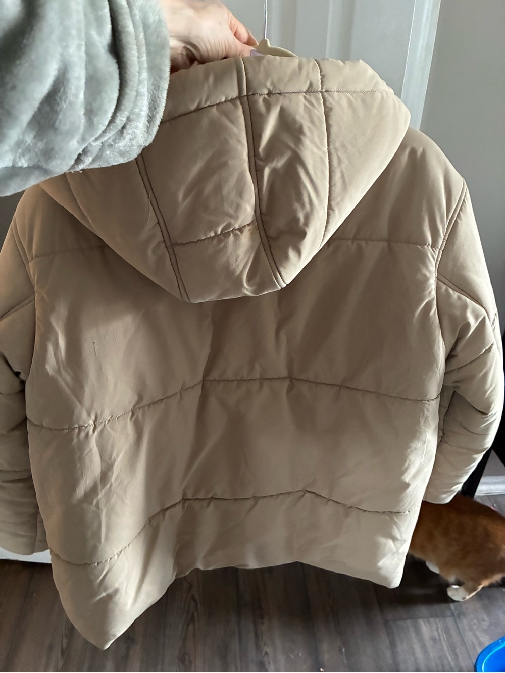 ASOS Beige Hooded Puffer Jacket